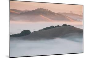 Ethereal Morning, Petaluma Marin County, Bay Area-Vincent James-Mounted Photographic Print