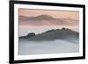 Ethereal Morning, Petaluma Marin County, Bay Area-Vincent James-Framed Photographic Print