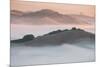 Ethereal Morning, Petaluma Marin County, Bay Area-Vincent James-Mounted Photographic Print