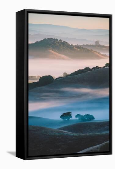 Ethereal Morning World, Misty Foggy Light, Petaluma California-Vincent James-Framed Stretched Canvas