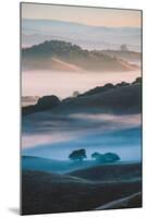 Ethereal Morning World, Misty Foggy Light, Petaluma California-Vincent James-Mounted Premium Photographic Print
