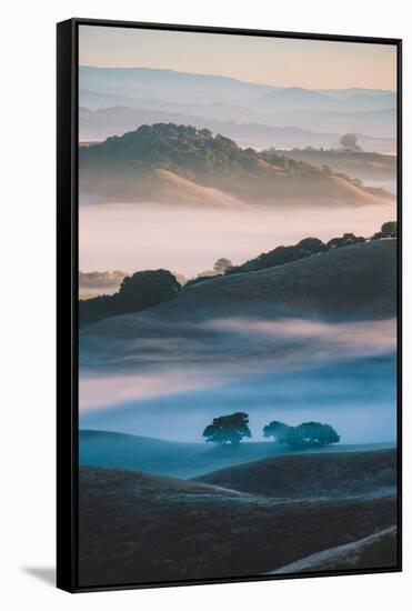 Ethereal Morning World, Misty Foggy Light, Petaluma California-Vincent James-Framed Stretched Canvas