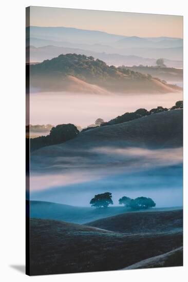 Ethereal Morning World, Misty Foggy Light, Petaluma California-Vincent James-Stretched Canvas