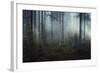 Ethereal Nature-Andreas Stridsberg-Framed Giclee Print