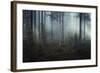 Ethereal Nature-Andreas Stridsberg-Framed Giclee Print