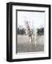 Ethereal Pampas I-Jason Johnson-Framed Art Print