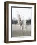 Ethereal Pampas I-Jason Johnson-Framed Art Print