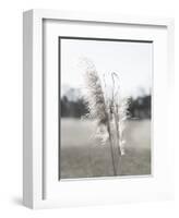 Ethereal Pampas I-Jason Johnson-Framed Art Print