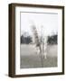 Ethereal Pampas I-Jason Johnson-Framed Art Print