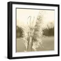 Ethereal Pampas VI-Jason Johnson-Framed Art Print