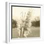 Ethereal Pampas VI-Jason Johnson-Framed Art Print