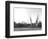 Ethereal Pampas VII-Jason Johnson-Framed Art Print