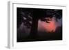 Ethereal Sun Rising in the Mist, Oakland, California-Vincent James-Framed Photographic Print