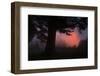 Ethereal Sun Rising in the Mist, Oakland, California-Vincent James-Framed Photographic Print