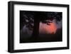 Ethereal Sun Rising in the Mist, Oakland, California-Vincent James-Framed Photographic Print