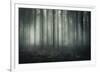 Ethereal Surround-Andreas Stridsberg-Framed Giclee Print