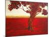 Ethereal Tree II-Herb Dickinson-Mounted Photographic Print