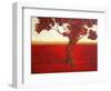 Ethereal Tree II-Herb Dickinson-Framed Photographic Print