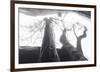 Ethereal Trees-Joe Cornish-Framed Giclee Print