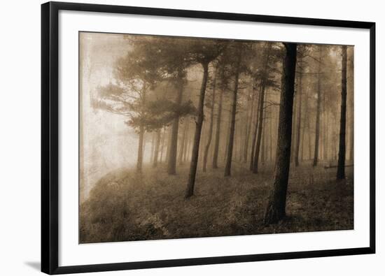 Ethereal Woodland-Pete Kelly-Framed Giclee Print