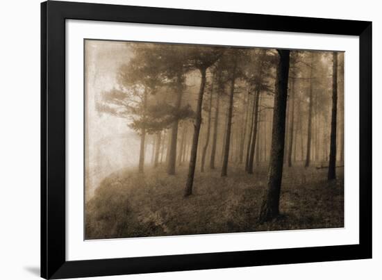 Ethereal Woodland-Pete Kelly-Framed Giclee Print