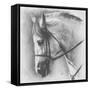 Ethereal-Barbara Keith-Framed Stretched Canvas