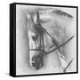 Ethereal-Barbara Keith-Framed Stretched Canvas