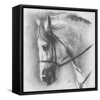 Ethereal-Barbara Keith-Framed Stretched Canvas