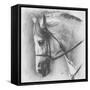 Ethereal-Barbara Keith-Framed Stretched Canvas