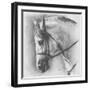 Ethereal-Barbara Keith-Framed Giclee Print