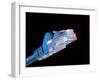 Ethernet Network Connector-Tek Image-Framed Premium Photographic Print