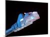 Ethernet Network Connector-Tek Image-Mounted Premium Photographic Print