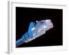 Ethernet Network Connector-Tek Image-Framed Photographic Print