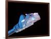 Ethernet Network Connector-Tek Image-Framed Photographic Print