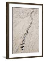 Ethiopia, Assale-Nigel Pavitt-Framed Photographic Print