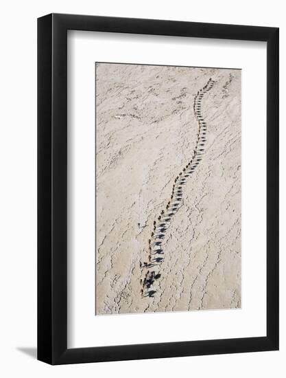 Ethiopia, Assale-Nigel Pavitt-Framed Photographic Print