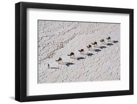 Ethiopia, Assale-Nigel Pavitt-Framed Photographic Print