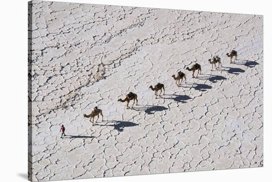 Ethiopia, Assale-Nigel Pavitt-Stretched Canvas