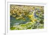 Ethiopia, Dallol, Afar Region. at Almost 300 Feet Below Sea Level-Nigel Pavitt-Framed Photographic Print