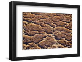 Ethiopia, Dallol-Nigel Pavitt-Framed Photographic Print