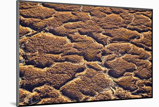 Ethiopia, Dallol-Nigel Pavitt-Mounted Photographic Print