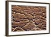 Ethiopia, Dallol-Nigel Pavitt-Framed Photographic Print