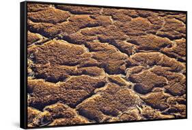 Ethiopia, Dallol-Nigel Pavitt-Framed Stretched Canvas