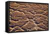 Ethiopia, Dallol-Nigel Pavitt-Framed Stretched Canvas