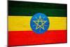 Ethiopia Flag Design with Wood Patterning - Flags of the World Series-Philippe Hugonnard-Mounted Premium Giclee Print