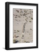 Ethiopia, Hamed Ela-Nigel Pavitt-Framed Photographic Print