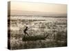 Ethiopia, Lake Awassa; a Young Boy Punts a Traditional Reed Tankwa Through the Reeds-Niels Van Gijn-Stretched Canvas