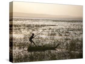 Ethiopia, Lake Awassa; a Young Boy Punts a Traditional Reed Tankwa Through the Reeds-Niels Van Gijn-Stretched Canvas