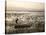 Ethiopia, Lake Awassa; a Young Boy Punts a Traditional Reed Tankwa Through the Reeds-Niels Van Gijn-Stretched Canvas