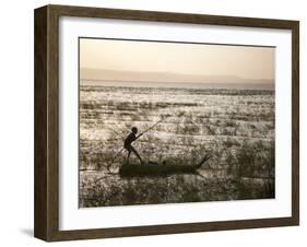 Ethiopia, Lake Awassa; a Young Boy Punts a Traditional Reed Tankwa Through the Reeds-Niels Van Gijn-Framed Photographic Print